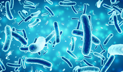 reverse osmosis bacteria prevention